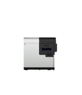 Imprimante EPSON C8000 Noir Mat