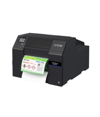 Imprimante EPSON D6500PE